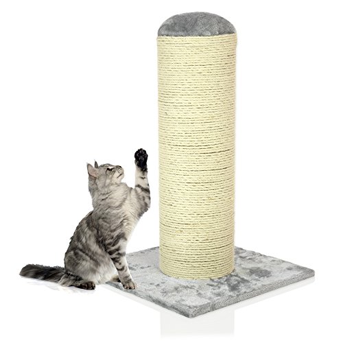 heavy cat scratching post