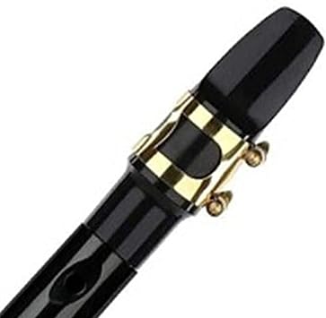 Pocket Saxophone Kit, Mini Saxophone Instrument Multifunctional Portable Pocket Sax for Amateurs and Professional Practice Performance