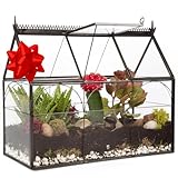 D'Eco Glass Greenhouse Centerpiece (10x4.5x9) - Tabletop Geometric Planter Terrarium - Fill with Succulents, Moss, Holiday Decorations, Mini Trees & Ornaments - Home Decor Xmas Gift for Plant Lovers