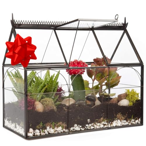 D'Eco Glass Greenhouse Centerpiece (10x4.5x9) -...
