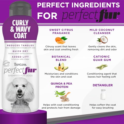 TropiClean Perfect Fur Natural Detangling Dog Shampoo for Doodles, Poodles, and Breeds with Curly Wavy Coats, Moisturizing Shampoo, Puppy Safe, 16oz. - Image 5
