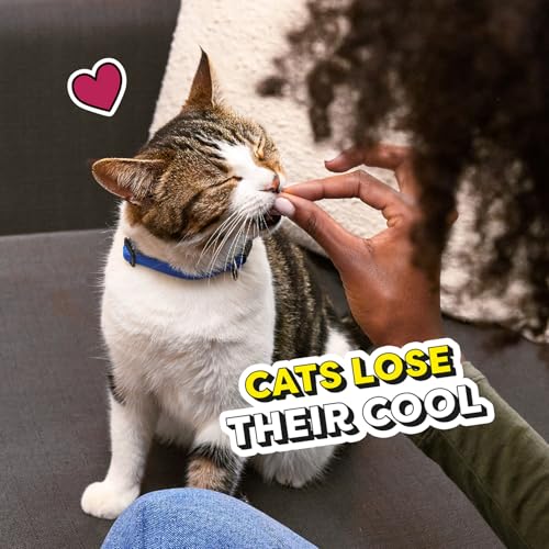 Temptations Cat Treats Classic Crunchy and Soft Feline Favorites Variety Pack,3 oz. Pouches,(Pack of 12) - image 8