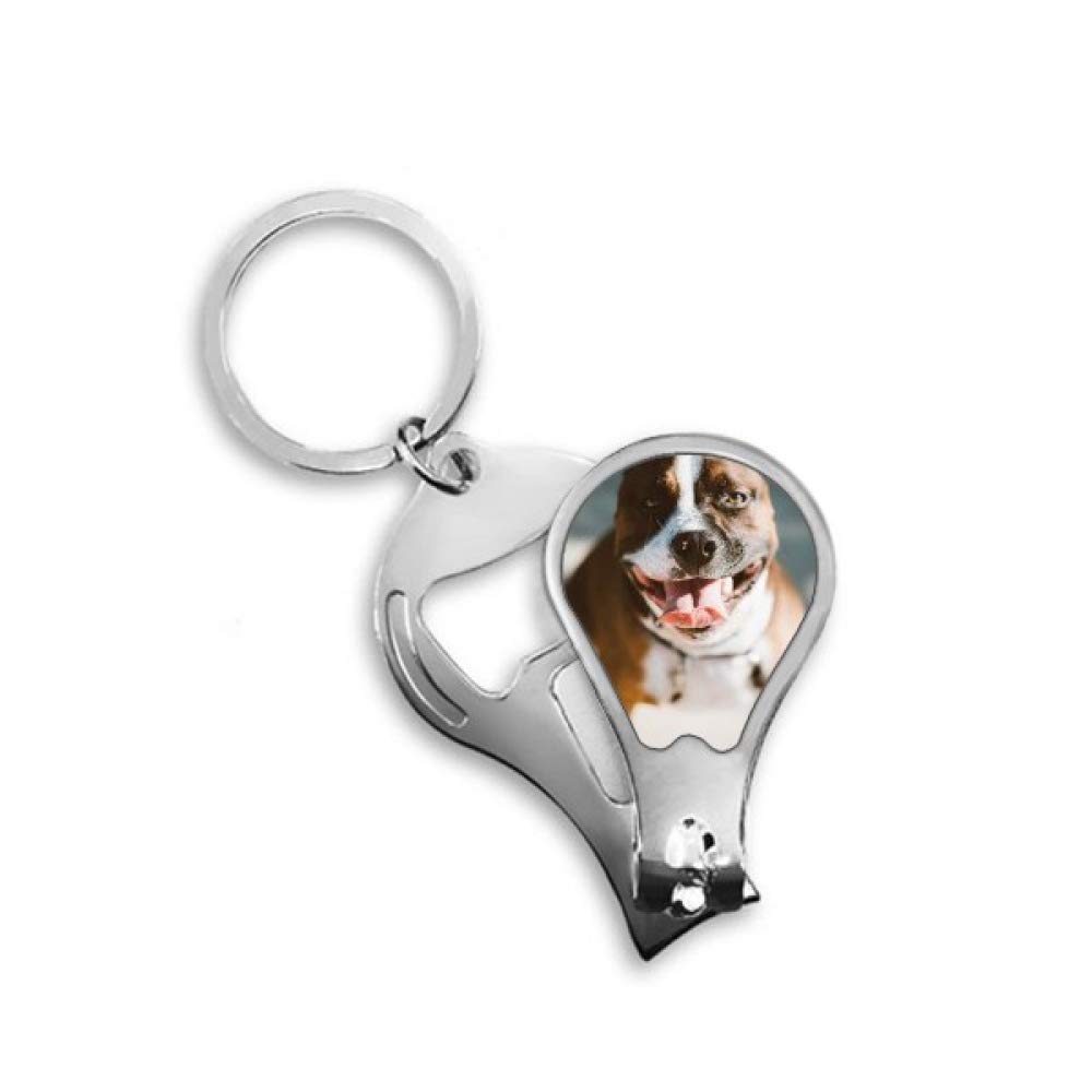 Cutter de précision DIYthinker motif bouledogue avec lames en acier inoxydable