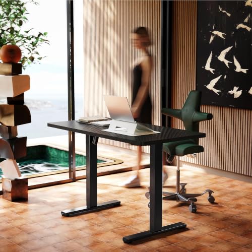 Image of HUANUO 48x24 Inch Electric Standing Desk, Adjustable, Carbon Fiber Black