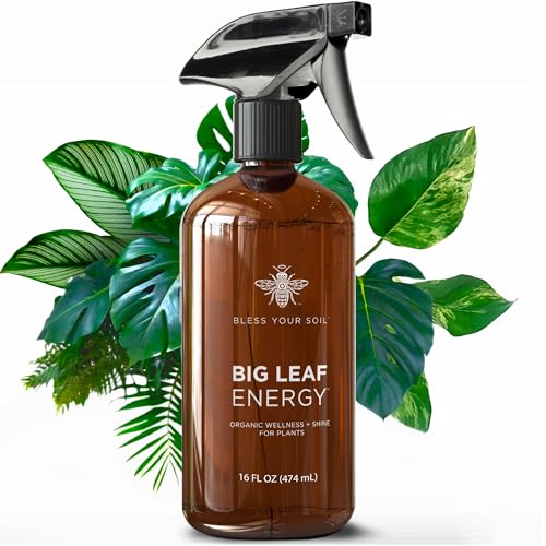 Big Leaf Energy (16 FL OZ Glass) Organic Neem Oil Plant Spray with Essential Oils : Natural Plant Wash for Indoor Houseplants and Outdoor Gardens