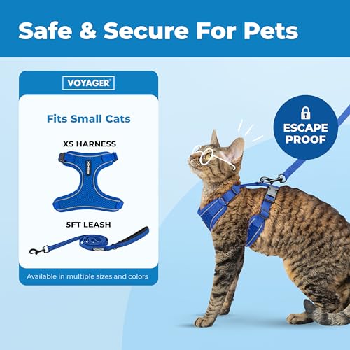 Image of Voyager Escape-Proof Step-in Lock Cat Harness & 5ft Neoprene-Handle Leash Set All-Weather Mesh with Reflective Stitching for Small to Large Cats by Best Pet Supplies, Royal Blue (327), XS