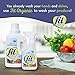 Fit Organic Produce Wash Soaker Org