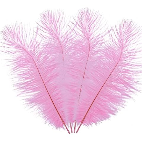 30 Pieces Real Natural Ostrich Feathers 6-8 Inch for Christmas Decoration Tree Costumes Headdresses Wedding Centerpieces Home Decoration (4 Colors) Cover