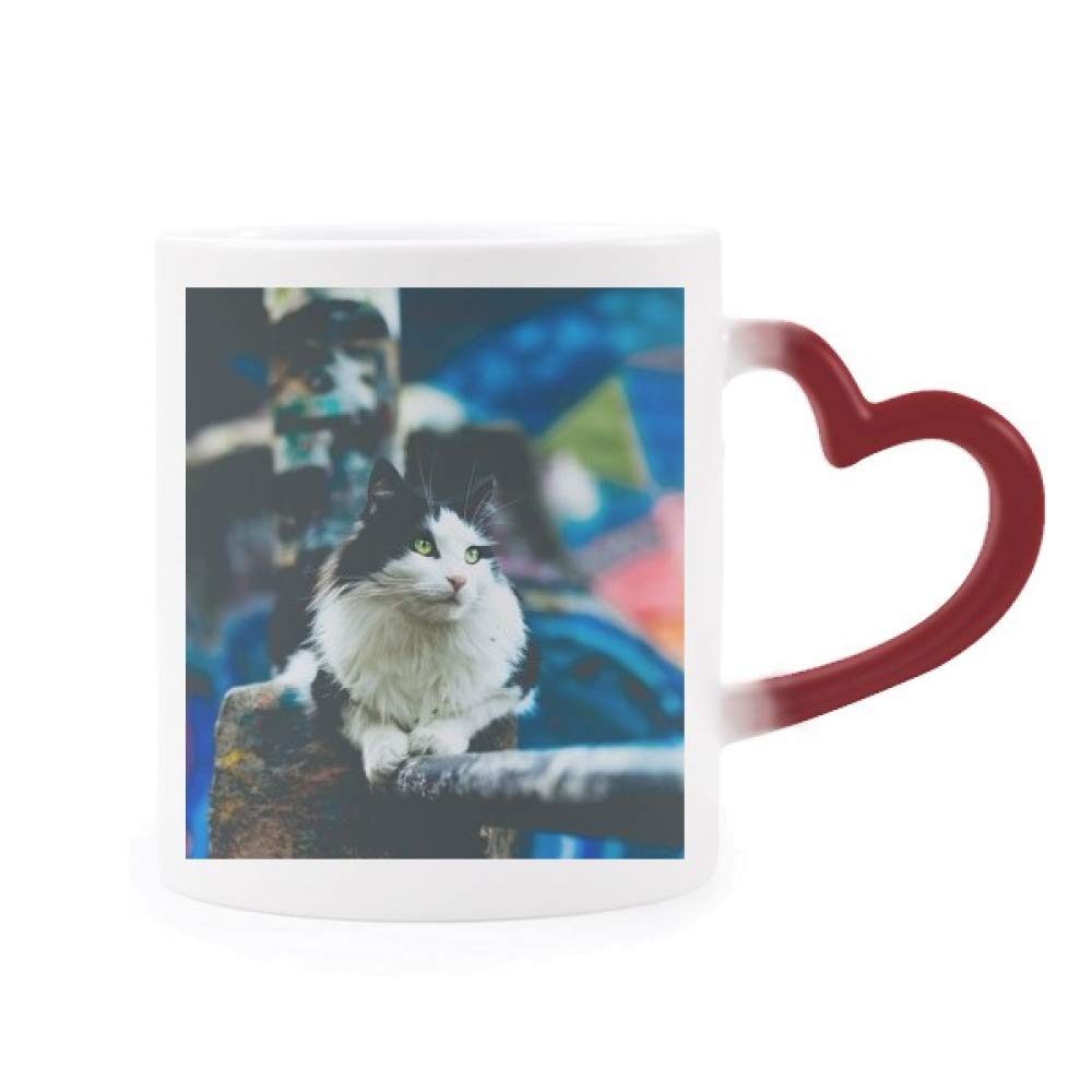 Taza mágica de gato perezoso con efecto térmico que cambia de color al calentarse