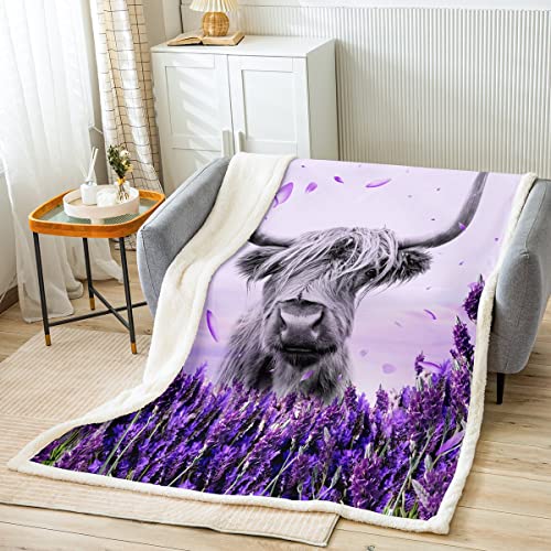 Homewish Highland Cow Blanket,Lavender Art Blanket,Farm Bull Cattle Sherpa Blanket,Rustic Farmhouse Western Style Animal Wild Theme Fleece Blanket For Bed Sofa Couch Deocr Purple 40"x50"