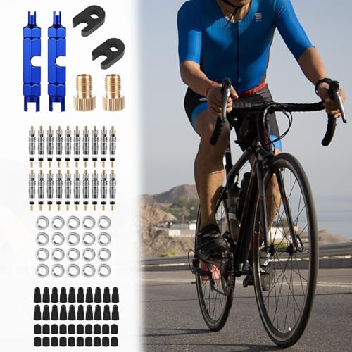 Image of Tinoaly Valve Core Repair Kit, Includes Brass Valve Cores, Caps, Removal Tools, Wrenches, Converters & Nuts, Bike Tire Rebuild Kit Compatible with Presta & Schrader for MTB, Road Bikes, Car Tires