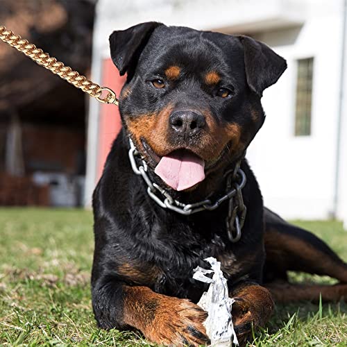 Hundeleine Kette, 1,3m/4ft Metall Hunde Übungsleine, Trainingsleine mit PU-Leder Griffe für Kleine Mittlere Große Schwere Hunde