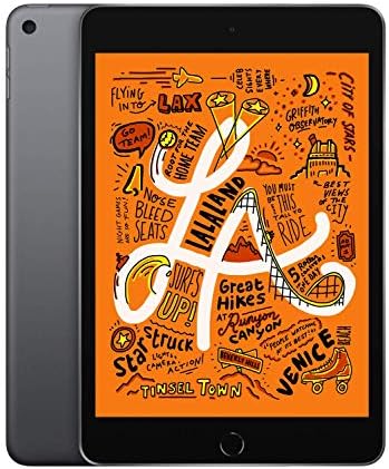 2019 Apple iPad Mini (Wi-Fi, 64GB) - Space Gray