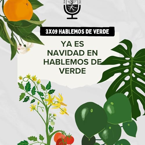 Ya es Navidad en Hablemos de Verde | 3x09 | Hablemos de Verde