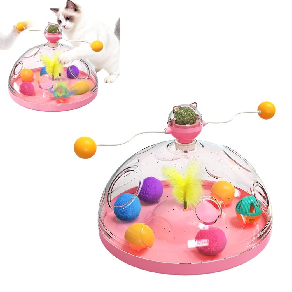 Jouets interactifs pour chat d'intérieur pour amuser votre chaton