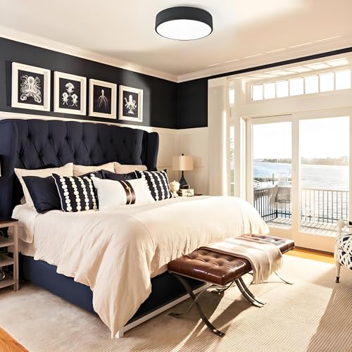 Image of 2-Light Modern Black Flush Mount Ceiling Light 11.8 Inch