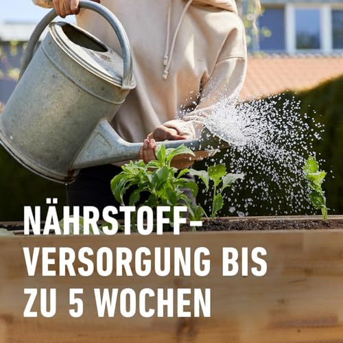 Compo Bio Hochbeet- und Gewächshauserde 40 Liter