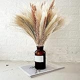 Uieke 80 Pcs Natural Dried Flowers,30Pcs White & Brown Pampas & 50Pcs Reed Grass, Dried Pompous Arra