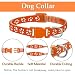 Hundehalsband und Leinen-Set, Welpenhalsband, Haustierleinen-Halsband, Halsband und Leine für Kleine und Mittelgroße Hunde, Haustierkatzenhalsband und Leine