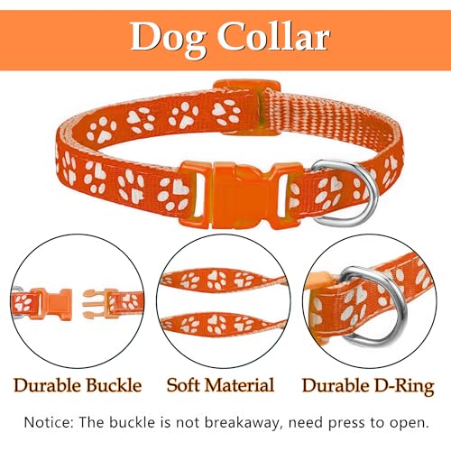 Hundehalsband und Leinen-Set, Welpenhalsband, Haustierleinen-Halsband, Halsband und Leine für Kleine und Mittelgroße Hunde, Haustierkatzenhalsband und Leine