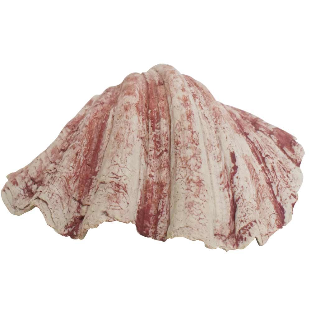 Nobby Aqua Ornaments Shell 19.6 x 16 x 7.8 cm