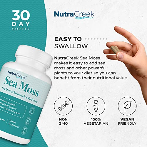 Nutracreek Sea Moss | Irish Sea Moss Capsules With Bladderwrack, Burdock Root & Bioperine For Absorption. Prebiotic & Immune Support | 1 Month Of Bladderwrack And Sea Moss Pills - 60 Capsules #TOP3