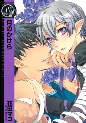 『月のかけら』