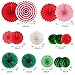 Hanging Party Decorations Set Tissue Paper Fan Paper Pom Poms Flowers and Honeycomb Ball for Christmas Wedding Engagement Graduation Party Decor Green Red Kit