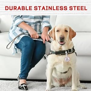   Service-Dog-Tag-Service-Dog-ID-Tag-Engraved-Stainless-Steel-Enameled-Regular-Emotional-Support-Dog-Animal-Tags-for-Large-Dogs-Cats-Collars-Vests-Harnesses-Essential-Name-Badge