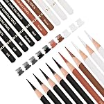 HIFORNY 10 Pieces Colour Charcoal Pencils Drawing Set - Pastel Chalk Pencils for Sketching,Shading,Blending,Portrait - Ideal for Beginners & Artists