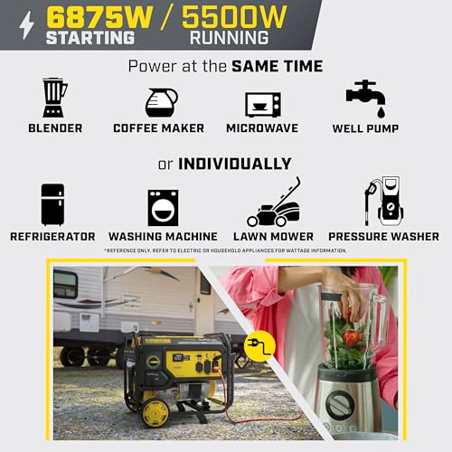 Champion 6875-Watt Dual-Fuel Portable Generator with CO Shield