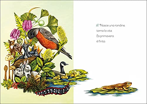 Canto Di Stagione. Ediz. Illustrata - 3