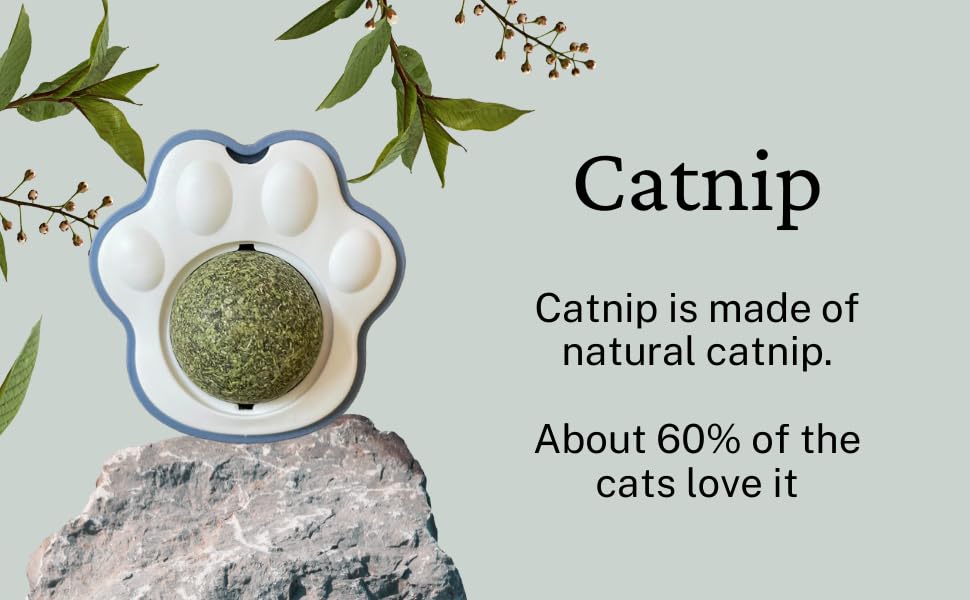 Purrfect Paw Catnip Toy - Rotatable, Wall-Mounted, Edible Licking Toy for Cats & Kittens 3