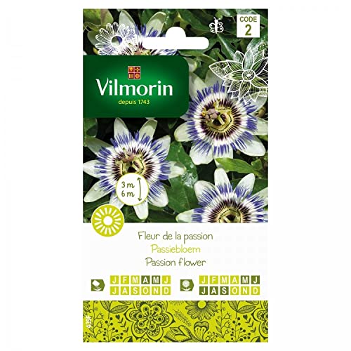 flor de la pasión Vilmorin
