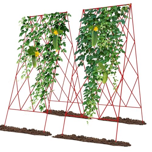 Treillis de concombre pliable gain de place pour petits potagers surélevés - 2