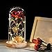 Kit de Rosas,La Bella y La Bestia Rosa Encantada,Rosa Eterna, Elegante Cúpula de Cristal con Base Pino Luces LED,Beauty and Regalos Magicos Decoración para Día de San Valentín Aniversario Bodas