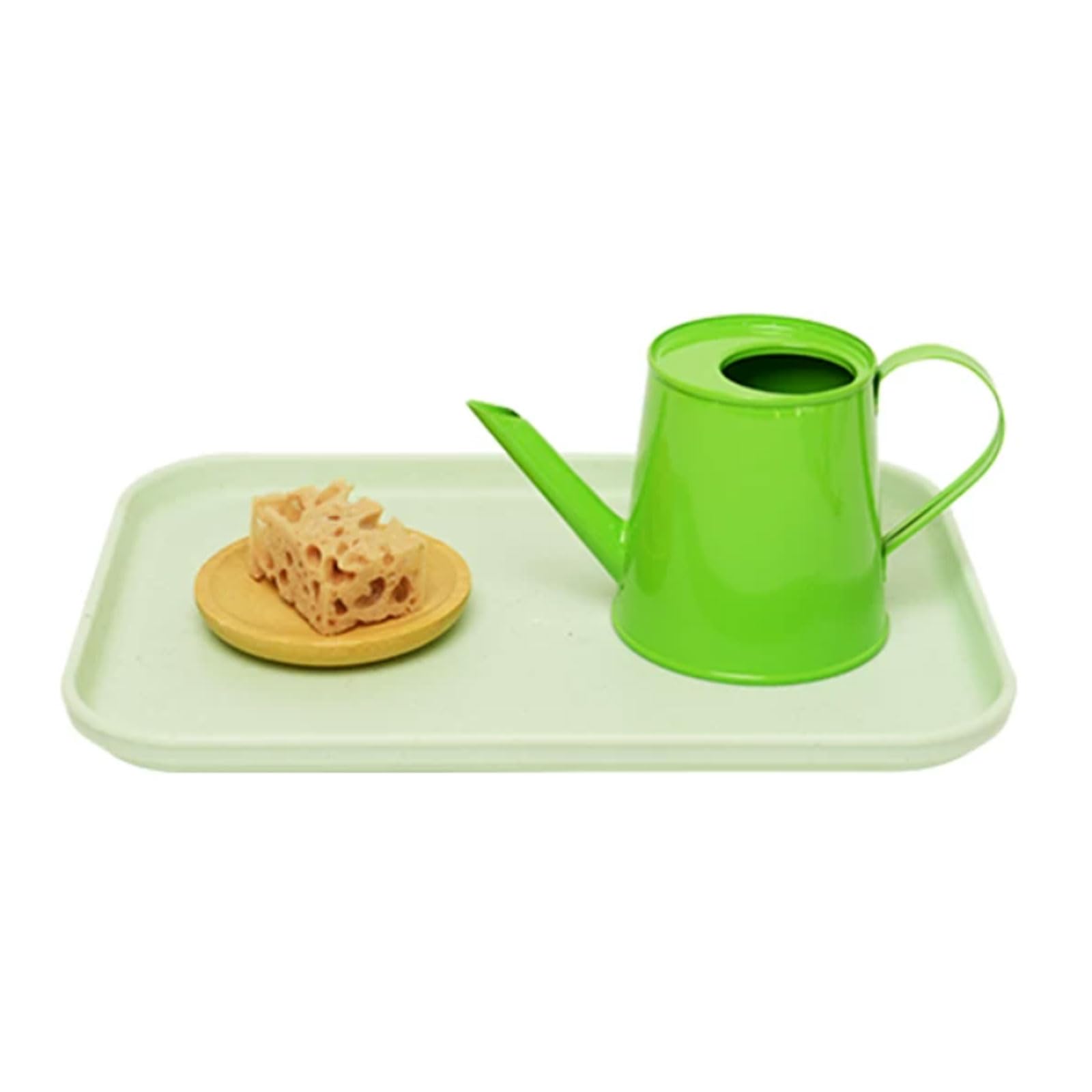 ttnmrc Montessori Plant Care Practical Life Tray Kit