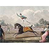 Another great gift idea from Artery8. Made in Scotland.