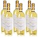 Produktbild 6 Flaschen Epicuro Chardonnay Fiano IGT Weisswein, trocken (6 x 0,75 l)