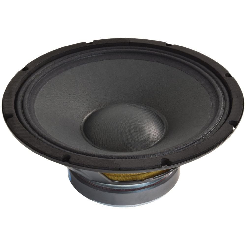 CIitronic | Pilotes de Haute Puissance 4 Ohm de Rechange | 30,5 cm – 700 W