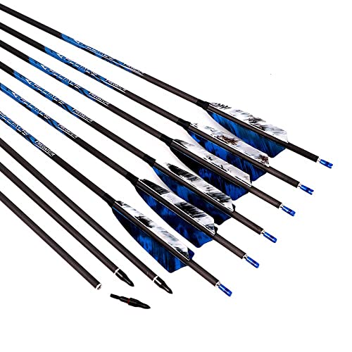 12 Flèches Carbone Mixte 30 Pouces pour Chasse et Ciblage