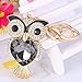 Reizteko Cute Owl Big Stone Rhinestone Alloy Women Car or Bag Keychain (Black owl)