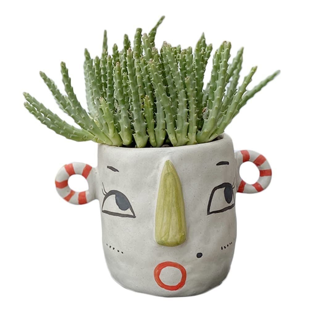 SWENEEN Face Planter Flower Pot Small Garden Pots Unique Pots For Plants Handmade Ceramic Flower Pot,Red