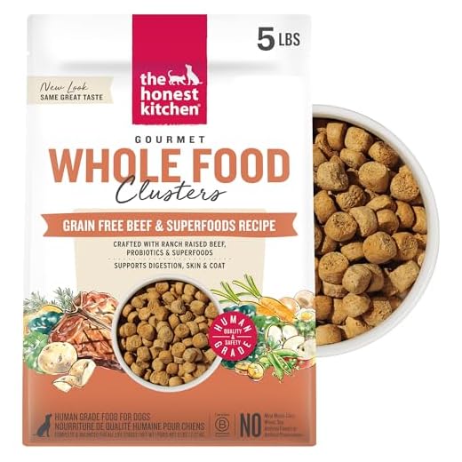 The Honest Kitchen Human Grade Dry Dog Food, Whole Food Clusters Grain Free Dry Dog Food, Beef, 5 lb Bag