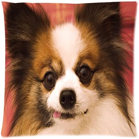 2015 New Fashion Good Quality Square 45x45cm Pillowcase, Lovely Cute Animal Papillon Dog Sleeping Cuchion Cover