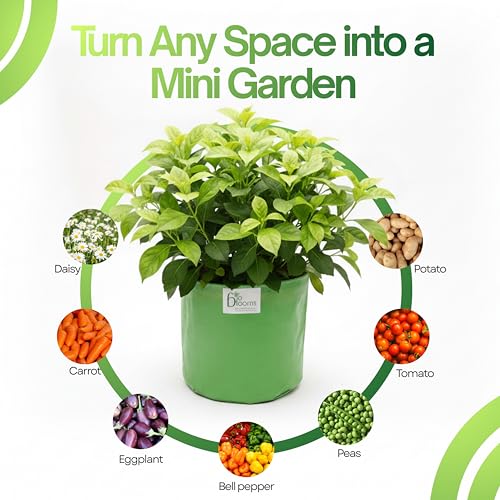 Image of Bio Blooms Round HDPE Plant Grow Bag for Terrace & Kitchen Gardening | 12x12 | 200 GSM Heavy Duty Outdoor Grow Bag | Durable Planter for Vegetables, Flowers & Plants | Green & Orange
