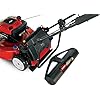 Toro Lawn Striping System