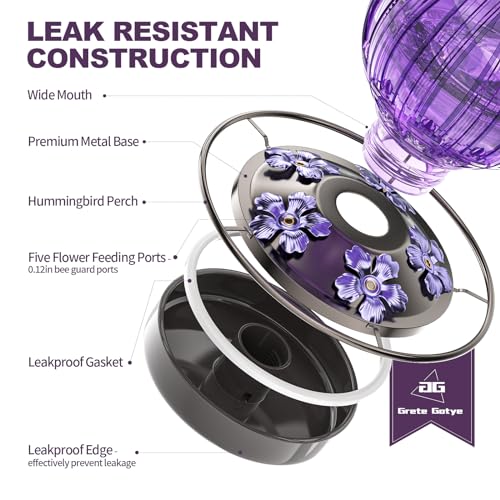 image for Grete Gotye Glass Hummingbird Feeder for Outdoors Hanging, Bird Nectar