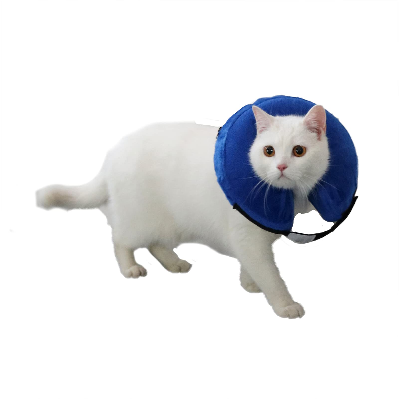 TT.WALK Collar de recuperación Inflable para Perros,Collar Protector Inflable para Perros y Gatos,Ajustable Collares y Conos de recuperación,Pequeño,Azul