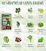 Leafy Greens Variety Pack – Hydroponic/Indoor/Outdoor. Heirloom Lettuce Seeds, Spinach Seeds, Arugula Seeds, Kale Seeds and More | Oh! Canada Seeds | Seeds for Planting #3